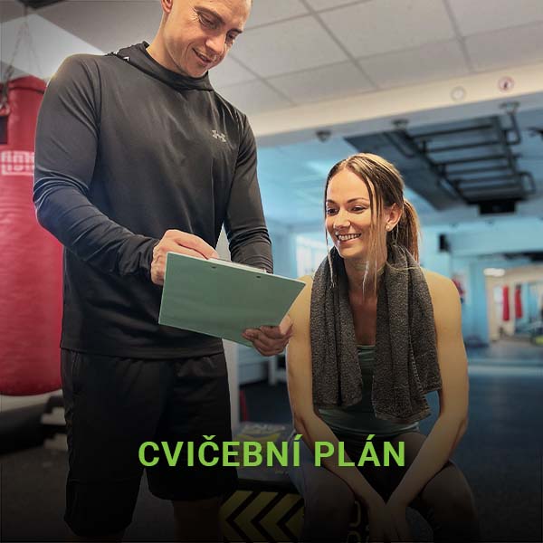 cvicebni plan jan valasek